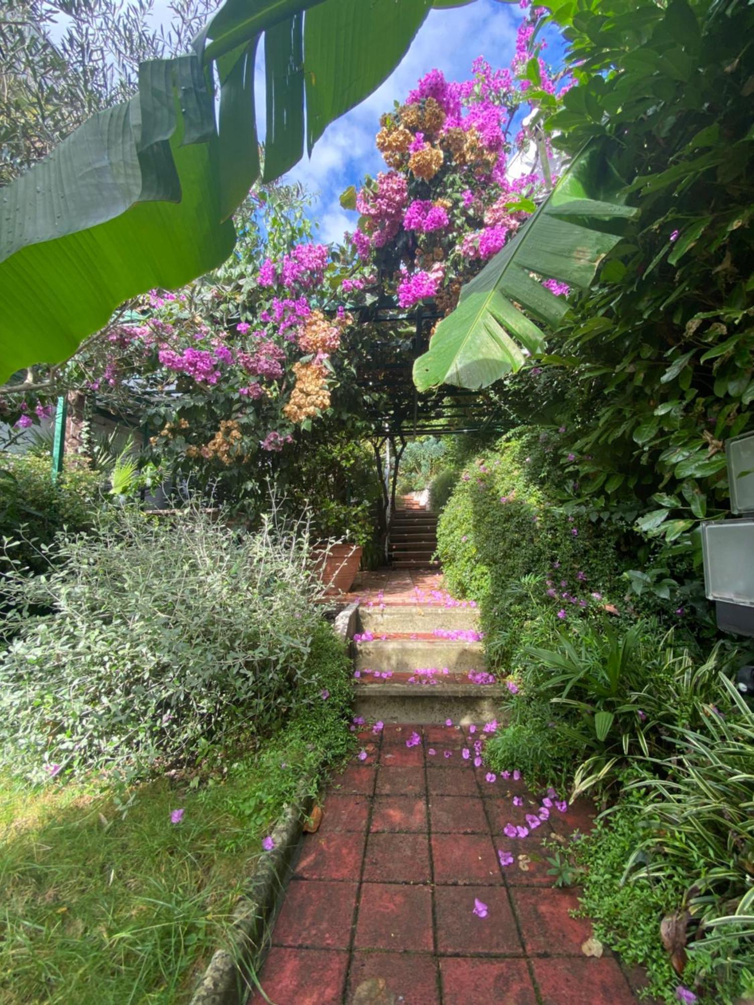 Sunny Garden Lägenhet Opatija Exteriör bild